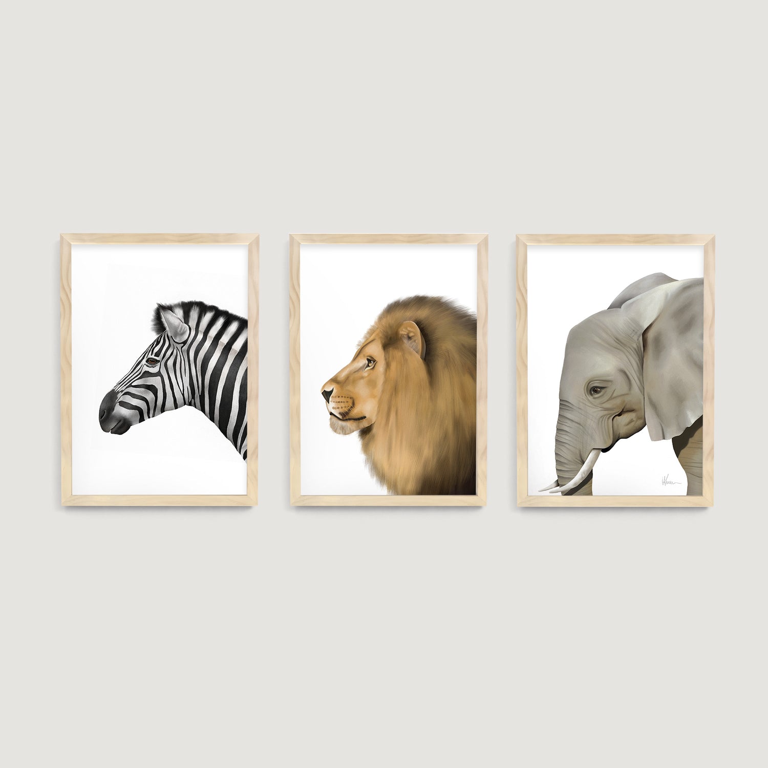 Three framed children and nursery wall art prints of a safari zebra, lion, and elephant on a light gray background room decor - Bluish Nest Art Studio