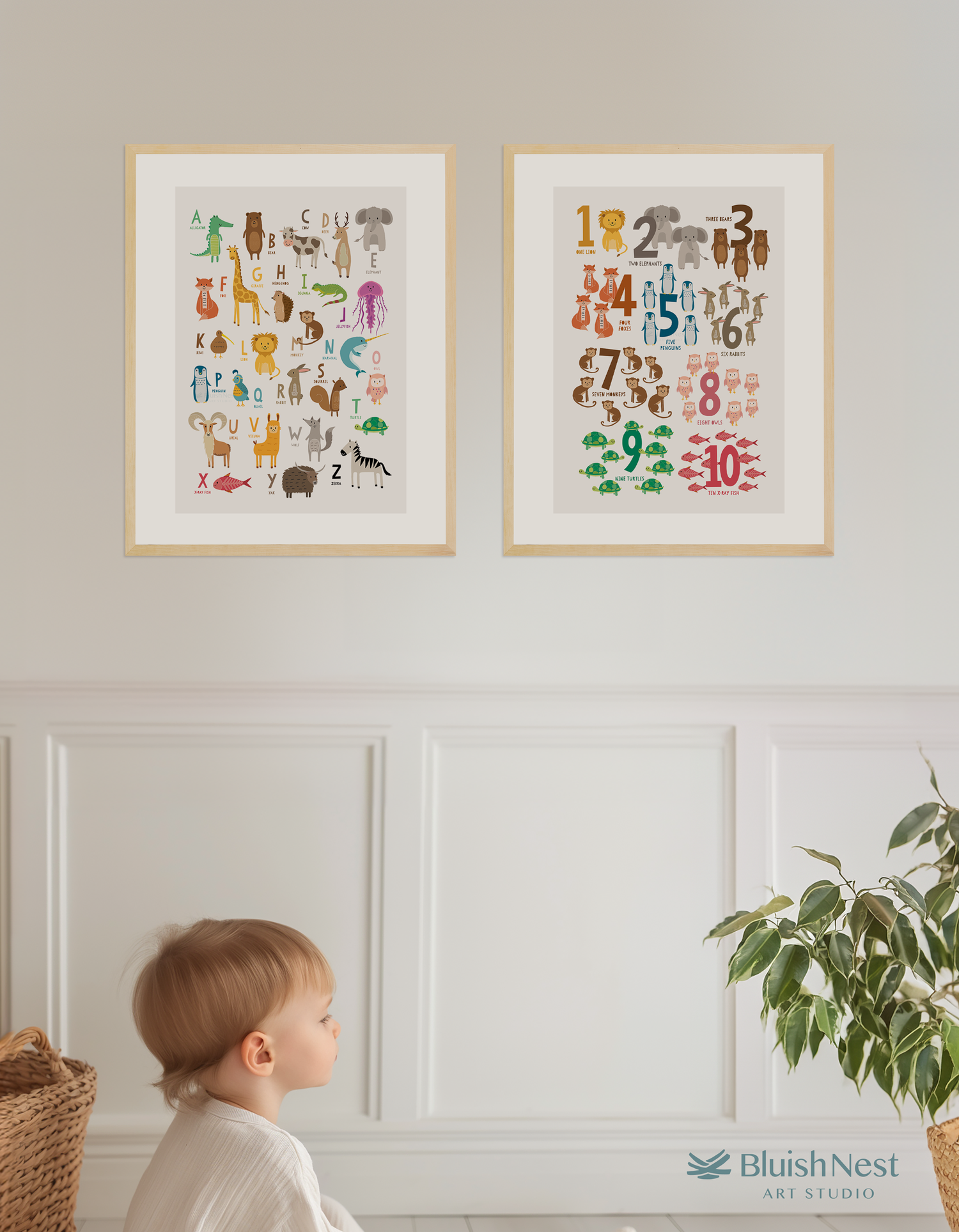 Two framed nursery and children's wall art posters with alphabet animals and numbers on a wall, with a child looking at them - Bluish Nest Art Studio